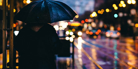 九游网页版入口-冠军球队赛季广告片发布引发粉丝讨论与转发，冠军宣传片